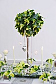 DESIGNER IAN LLOYD - CHRISTMAS TABLE SETTING IN WHITE AND LIME GREEN  WITH CANDLES AND POINSETTIA CHRISTMAS FEELINGS WHITE