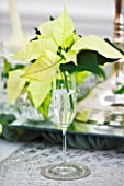 DESIGNER IAN LLOYD - CHRISTMAS TABLE SETTING IN WHITE AND LIME GREEN  WITH CANDLES AND POINSETTIA CHRISTMAS FEELINGS WHITE IN WINE GLASS