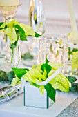 DESIGNER IAN LLOYD - CHRISTMAS TABLE SETTING IN WHITE AND LIME GREEN  WITH CANDLES AND POINSETTIA CHRISTMAS FEELINGS WHITE IN MIRRORED CONTAINER
