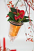 DESIGNER PAULA PRYKE - RED AND GOLD CHRISTMAS TABLE DECORATION WITH POINSETTA SARURNUS RED IN GOLD JAR HANGING FROM TREE