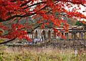 HEVER CASTLE  KENT: AUTUMN: AUTUMN COLOUR OF RED MAPLE ON SIXTEEN ACRE ISLAND WITH THE LOGGIA BEHIND