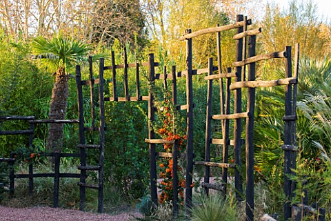 AFRICAN_GARDEN__PROVENCE__FRANCE_DESIGNER_DOMINIQUE_LAFOURCADE_BLACK_WOODEN_STAKE_FENCE_PLANTED_WITH