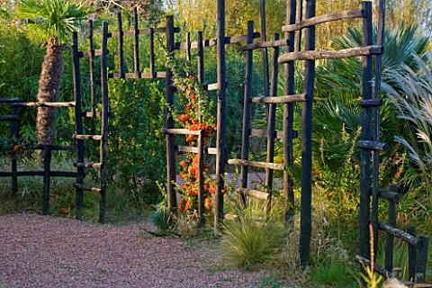 AFRICAN_GARDEN__PROVENCE__FRANCE_DESIGNER_DOMINIQUE_LAFOURCADE_BLACK_WOODEN_STAKE_FENCE_PLANTED_WITH