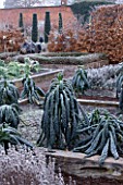 HAMPTON COURT CASTLE AND GARDENS  HEREFORDSHIRE: THE ORGANIC KITCHEN/ VEGETABLE GARDEN - RAISED BEDS WITH KALE IN FROST