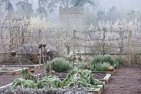 HAMPTON_COURT_CASTLE_AND_GARDENS__HEREFORDSHIRE_THE_ORGANIC_KITCHEN_VEGETABLE_GARDEN_IN_FROST_WITH_R