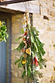 THE GARDEN AND PLANT COMPANY  HATHEROP  GLOUCESTERSHIRE: FESTIVE HAND-TIE WITH PINE  PINE CONES  CINNAMON  CHILLIES AND DRIED ORANGE SLICES.