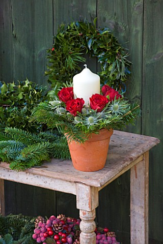 THE_GARDEN_AND_PLANT_COMPANY__HATHEROP__GLOUCESTERSHIRE_FESTIVE_FOLIAGE_AND_FLOWERS_FIR___HOLLY_GARL