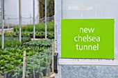 CROCUS NURSERY  SURREY: SIGN INTO POLYTUNNEL AND PLANTS GROWING IN CONTAINERS FOR ARNE MAYNARD CHELSEA 2012 GARDEN