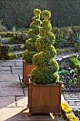 DIAL PARK  WORCESTERSHIRE: TOPIARY IN RUSTY METAL CONTAINERS