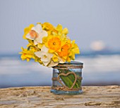 R.A.SCAMP  QUALITY DAFFODILS  CORNWALL: DAFFODILS IN A GLASS JAR BY THE SEASIDE NEAR FALMOUTH