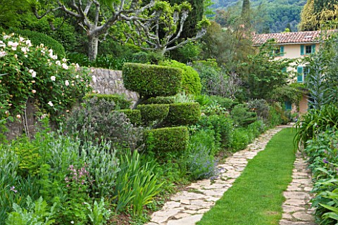 VILLA_FORT_FRANCE__GRASSE__FRANCE_THE_FRONT_GARDEN_WITH_VIEW_TO_VILLA__PATH__CLOUD_TOPIARY