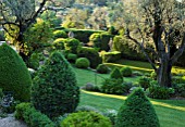 LA CASELLA, FRANCE: TERRACEWITH LAWN, OLIVE TREES, CLIPPED TOPIARY BOX SHAPES. BUXUS, GREEN, TERRACED, TERRACING, FORMAL, MEDITERRANEAN, FRENCH