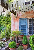 LA CASELLA, FRANCE: TERRACE, PATIO, TERRACOTTA, CONTAINERS, POTS, PERGOLA, WISTERIA, WHITE, COVERED, ENTERTAINING, DINING, MEDITERRANEAN, PROVENCE, FRENCH, BLUE, SHUTTERS