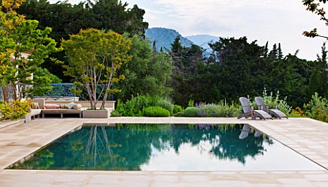 DESIGNER_JAMES_BASSON_SCAPE_DESIGN_FRANCE_SWIMMING_POOL_WITH_LAGERSTROEMERIA_INDICA_TREE__PROVENCE_S