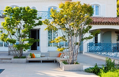 DESIGNER_JAMES_BASSON_SCAPE_DESIGN_FRANCE_TERRACE_BESIDE_HOUSE_WITH_LAGERSTROEMERIA_INDICA_TREE__PRO