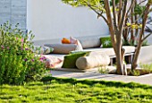 DESIGNER JAMES BASSON, SCAPE DESIGN, FRANCE: TERRACE BESIDE HOUSE WITH LAGERSTROEMERIA INDICA TREE AND ZOYSIA TENUIFOLIA - PROVENCE, SUMMER, REFLECTIONS, SEATING, CUSHIONS
