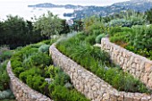 DESIGNER JAMES BASSON, SCAPE DESIGN, FRANCE: STONE TERRACES WITH LOW GROWING, LOW MAINTENANCE PLANTING AND VIEWS TO THE MEDITERRANEAN SEA BEYOND - GREEN, SUMMER