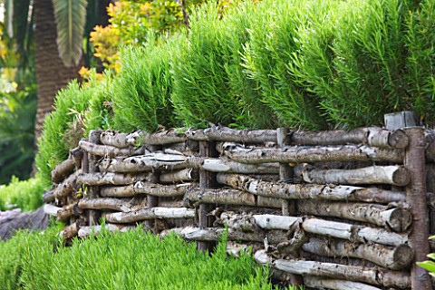 DESIGNER_JAMES_BASSON_SCAPE_DESIGN_FRANCE_LOW_WOODEN_WOVEN_FENCE_WITH_ROSEMARY__PROVENCE_HEDGE_HEDGI