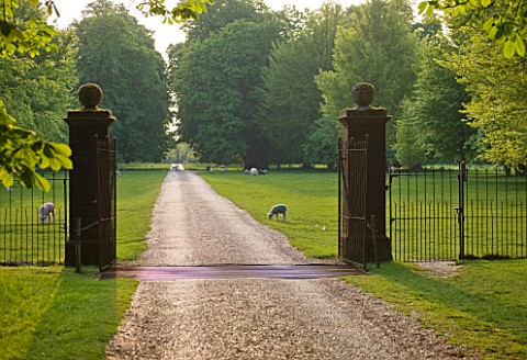 DODDINGTON_PLACE_GARDENS__KENT_VIEW_THROUGH_THE_GATE_TO_THE_PARK_WITH_SHEEP_BEYOND