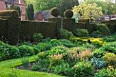 DODDINGTON PLACE GARDENS  KENT: TOPIARY YEW HEDGE AND BORDERS