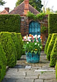 DODDINGTON PLACE GARDENS  KENT: BLUE DOOR AND COPPER CONTAINER PLANTED WITH TULIPS