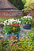 DODDINGTON PLACE GARDENS  KENT: COPPER CONTAINERS PLANTED WITH TULIPS