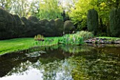 DODDINGTON PLACE GARDENS  KENT: POND AND CLIPPED YEW HEDGES