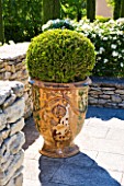 GARDEN IN LUBERON  FRANCE  DESIGNED BY MICHEL SEMINI: CONTAINER WITH CLIPPED TOPIARY ON THE PATIO BESIDE THE SWIMMING POOL - WASSERMAN GARDEN
