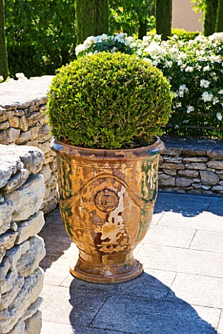 GARDEN_IN_LUBERON__FRANCE__DESIGNED_BY_MICHEL_SEMINI_CONTAINER_WITH_CLIPPED_TOPIARY_ON_THE_PATIO_BES