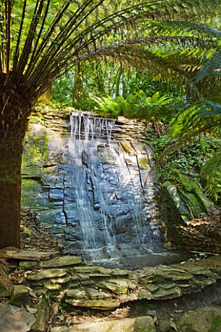 TREBAH_GARDEN__CORNWALL_WATERFALL_OVER_NATURAL_ROCK__THE_CASCADE_AND_STUMPERY