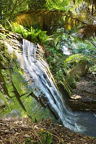 TREBAH_GARDEN__CORNWALL_WATERFALL_OVER_NATURAL_ROCK__THE_CASCADE_AND_STUMPERY