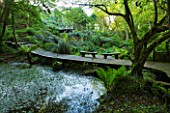 TREMENHEERE SCULPTURE GARDENS  CORNWALL: PONDS WITH TREE FERNS AND WOODEN WALKWAY WITH WOODEN BENCHES/ SEATS