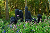 TREMENHEERE SCULPTURE GARDENS  CORNWALL: BLACK MOUND BY DAVID NASH - CHARRED OAK SHAPES IN SCULPTED HUDDLE IN WOODLAND WITH BLUEBELLS