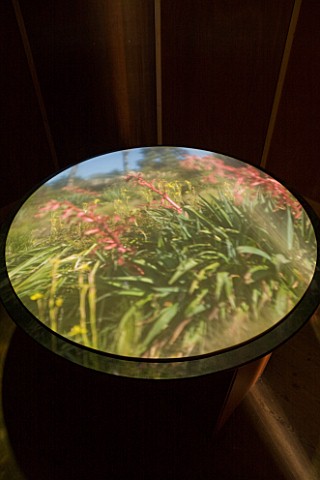 TREMENHEERE_SCULPTURE_GARDENS__CORNWALL_CAMERA_OBSCURA_PROJECTION_BY_BILLY_WYNTER