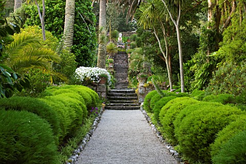 TRESCO_ABBEY_GARDEN__TRESCO___ISLES_OF_SCILLY_VIEW_UP_THE_NEPTUNE_STEPS_TO_THE_STONE_LIKE_FIGURE_OF_