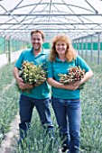 THE ISLES OF SCILLY: SCILLY FLOWERS - OWNERS ZOE AND BEN JULIAN