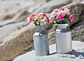 THE ISLES OF SCILLY: SCILLY FLOWERS - FRESHLY PICKED SCENTED PINKS IN METAL JUGS BY THE SEA