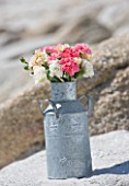 THE ISLES OF SCILLY: SCILLY FLOWERS - FRESHLY PICKED SCENTED PINKS IN METAL JUG BY THE SEA
