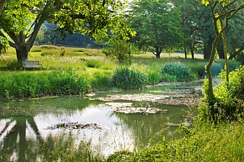 GLYNDEBOURNE_EAST_SUSSEX_VIEW_ACROSS_LAKE_TO_MEADOW_AND_WOODEN_SEAT__BENCH__WATER_POOL_TRANQUIL_PEAC