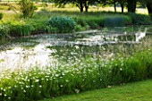 GLYNDEBOURNE, EAST SUSSEX: VIEW ACROSS LAKE TO MEADOW - WATER, POOL, TRANQUIL, PEACEFUL, COUNTRY GARDEN, LANDSCAPE
