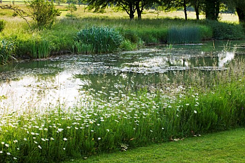 GLYNDEBOURNE_EAST_SUSSEX_VIEW_ACROSS_LAKE_TO_MEADOW__WATER_POOL_TRANQUIL_PEACEFUL_COUNTRY_GARDEN_LAN