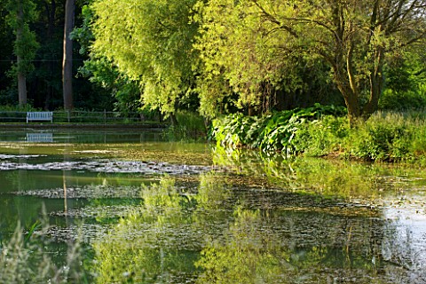 GLYNDEBOURNE_EAST_SUSSEX_VIEW_ACROSS_LAKE_IN_SUMMER__WATER_POOL_TRANQUIL_PEACEFUL_COUNTRY_GARDEN_LAN