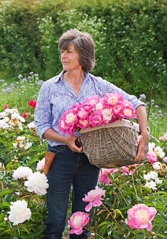 JO_BENNISON_PEONIES__LINCOLNSHIRE_JO_BENNISON_WITH_A_BASKET_OF_PEONY_GAY_PAREE