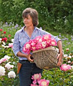 JO BENNISON PEONIES  LINCOLNSHIRE: JO BENNISON WITH A BASKET OF PEONY GAY PAREE