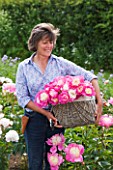 JO BENNISON PEONIES  LINCOLNSHIRE: JO BENNISON WITH A BASKET OF PEONY GAY PAREE