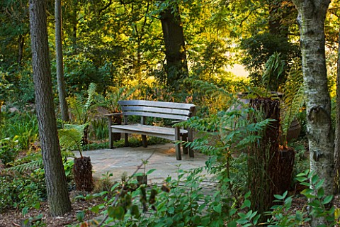 GARDEN_IN_KENT_DESIGNED_BY_BELLA_WHITELEY_WOODLAND_WITH_WOODEN_BENCH_SEAT_SHADE_SHADY_WOOD_A_PLACE_T