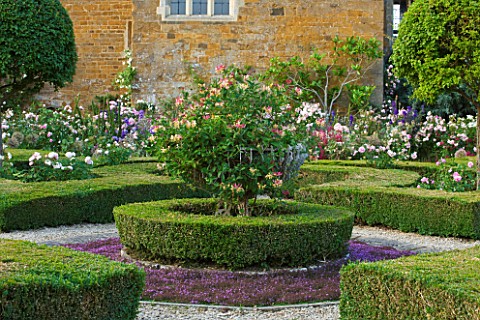 BROUGHTON_CASTLE_OXFORDSHIRE_FLEURDELYS_PATTERN_OF_BOX_HEDGES_IN_LADIES_GARDEN_WITH_HONEYSUCKLE_AT_C