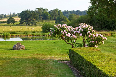 BROUGHTON_CASTLE_OXFORDSHIRE_VIEW_OUT_ACROSS_THE_LAKE_TO_COUNTRYSIDE_BEYOND_WITH_ROSE_BUSH_AND_HEDGE