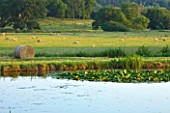 BROUGHTON CASTLE, OXFORDSHIRE: VIEW OUT ACROSS THE LAKE TO COUNTRYSIDE BEYOND - SUMMER, COUNTRY GARDEN, ROMANTIC, CLASSIC, VIEW, VISTA, WATERLILIES, CANADA GEESE, BIRDS, WILDLIFE