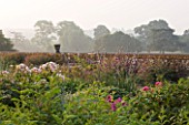 KILLERTON  DEVON: THE NATIONAL TRUST - HERBACEOUS GARDEN WITH DIERAMA AND VIEWS OUT ONTO PARKLAND BEYOND